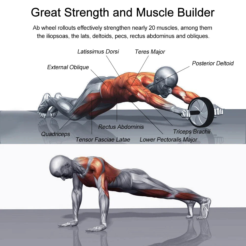 Ab Roller Wheel – High-Stability Core Trainer